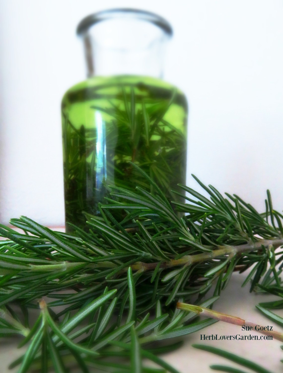 IMG_0259 rosemary jar oilname websize