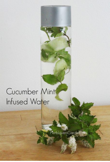 cucumber lime mint in web water bottle water bottle IMG_7218 needs caption