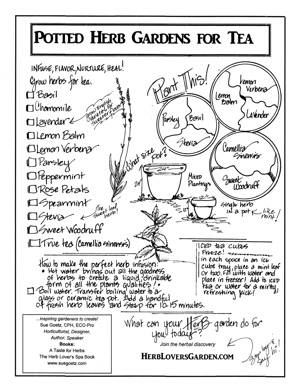 Potted Herb gardens for tea