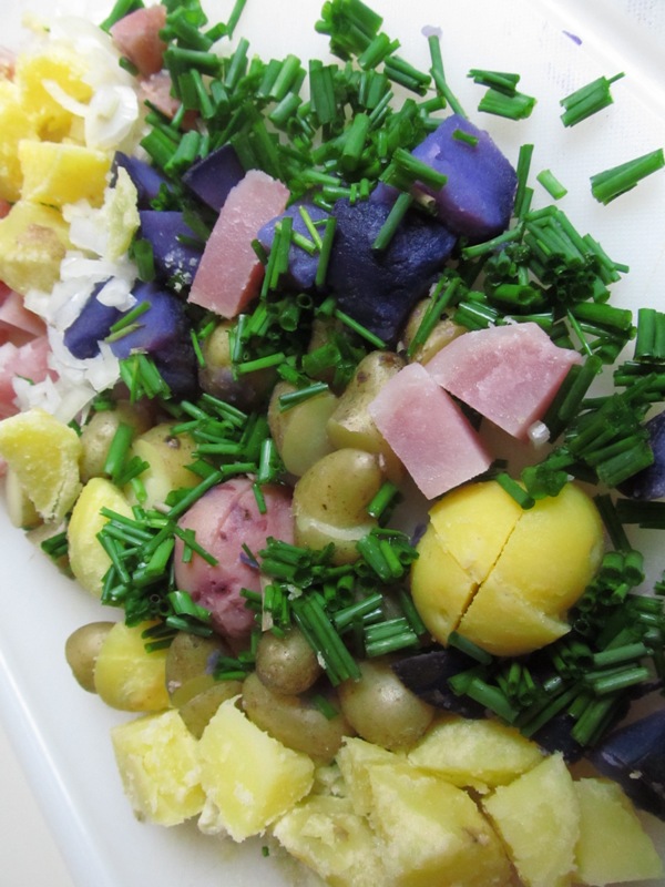 colorful potatoes salad by Sue Goetz